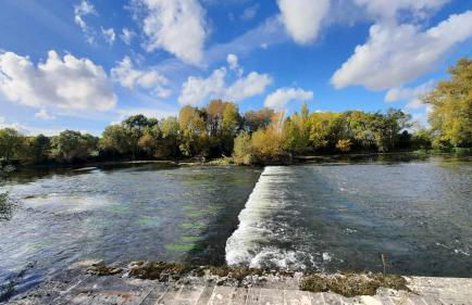 Gite de la Salamandre aan de rivier de Cher vlakbij Zoo de Beauval - Foto 15