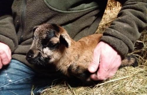 Muehlenhof-Soderstorf-Wohnung-E - Foto 8