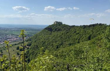 Süße Einliegerwohnung mit Garten - Photo 22