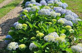 Chalés Boa Vista - Foto 58