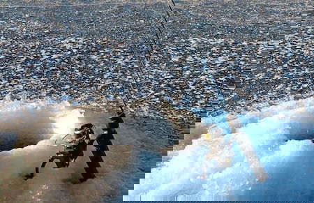 Bayside Resort - Photo 35