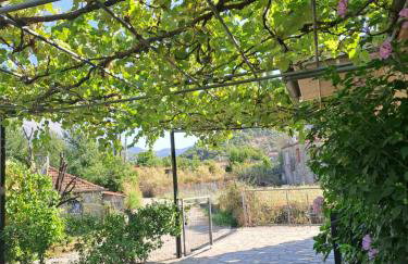 Rivers' house Tzoumerka - Foto 20