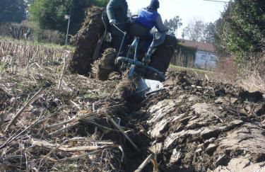 Settecentoalberi Agriturismo - Foto 16