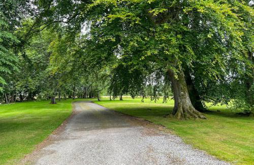 Averon Castle - Foto 24