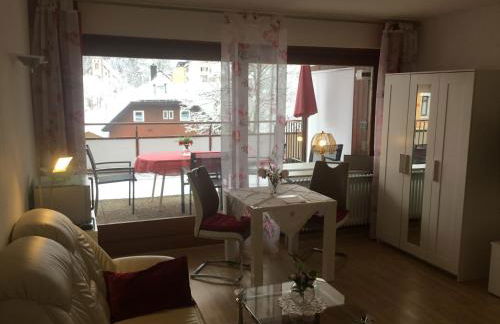 1Z.FeWo 236 barbo Schwimmbad,Sauna,Fitness - Foto 3