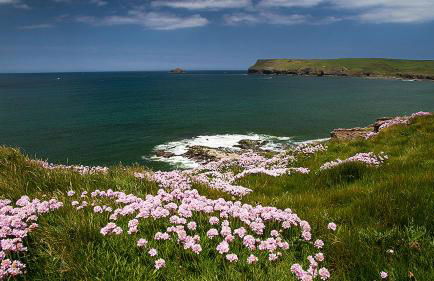 St Moritz Hotel Apartments - Foto 34