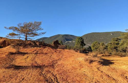 Gîte Le Bosquet - Au cœur du Luberon - Photo 22