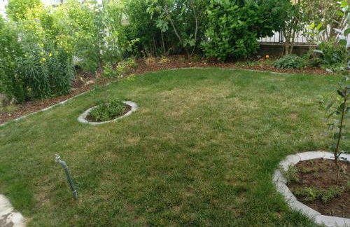 Kakteengarten - Foto 18