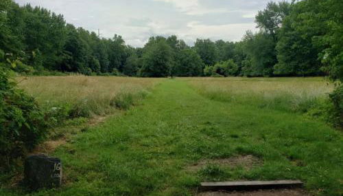 1 Bed with Private Bathroom Close to Everything in Newark & Wilmington - Foto 4, Garden, Garden view