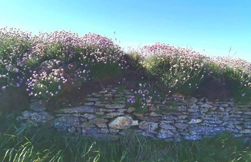 un amour de maison - Foto 20