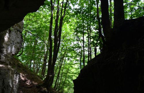 Principe di Napoli - Foto 33