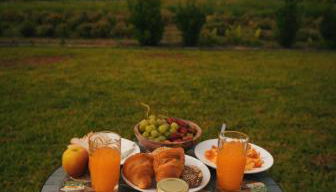 Monte de Palma- Quinta Biodinâmica Momentos Únicos - Foto 4, Garden view