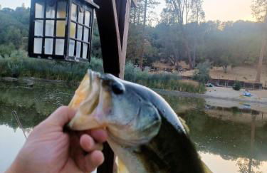 Oak Pond Retreat Stocked pond/pool table/BBQ Grill/EV Charger - Foto 56