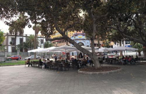 Celia House - Foto 8