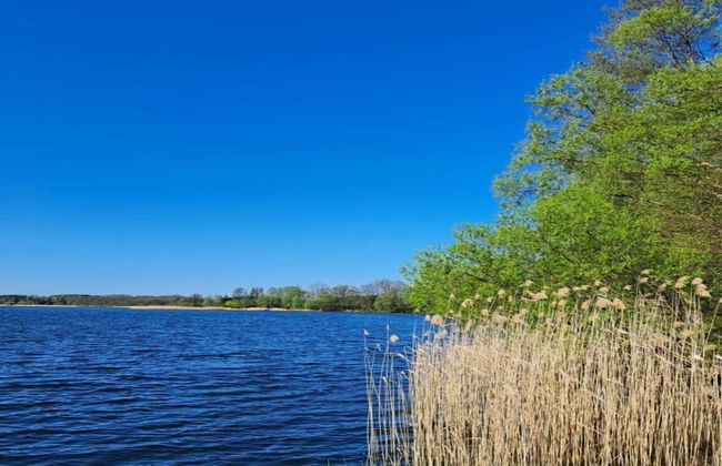 Holiday Home in Gluszyn With Private Pool - Foto 29