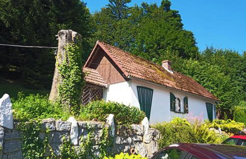 Domek Sosnówka - Foto 1