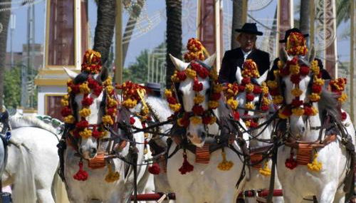 Miriam Costa de la luz 2 - Foto 2