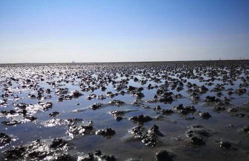 Ferienwohnungen am Wattenmeer - Foto 60