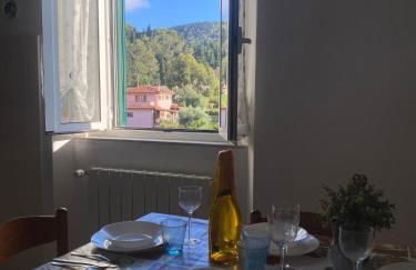 CasinaAlice Montenero - Foto 14