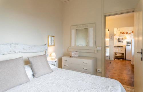 Sassi Scritti - Acero Montano - Photo 19