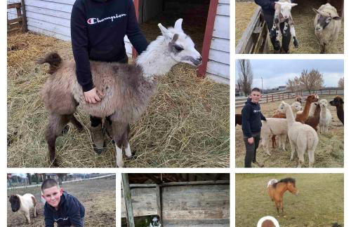 Kuća za odmor Raguž - Foto 61