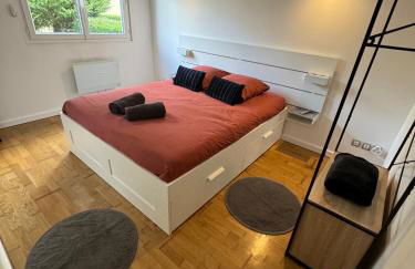 Beau studio plein centre ville - Foto 1