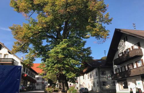 Am-Berg Ferienwohnung in Bad kohlgrub - Foto 51