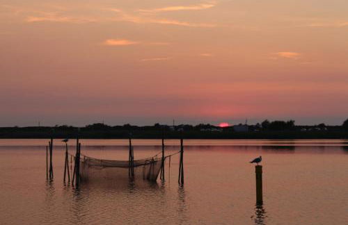 Urlaub beim Fischer - Lütt Elsing - Foto 12