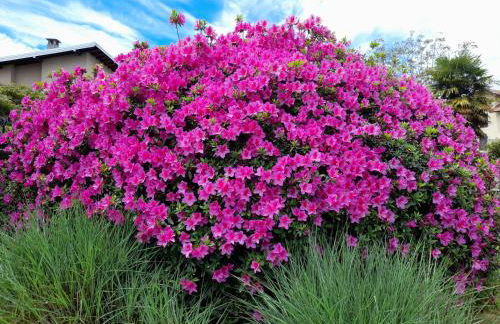 Casa Germana - Foto 33