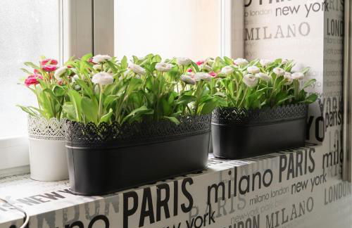 Cozy Stylish - 1Bedroom 1Bath - Malasaña - Photo 52