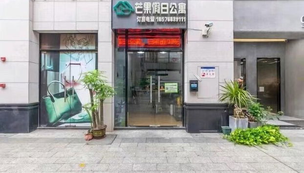 ManGo Holiday Internation Apartment - Foto 3, Recepción