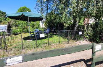 Zum Kranich - Foto 36