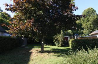 Alte Praxis - Zentral & ruhig in Simmern! Stellplatz - Foto 3