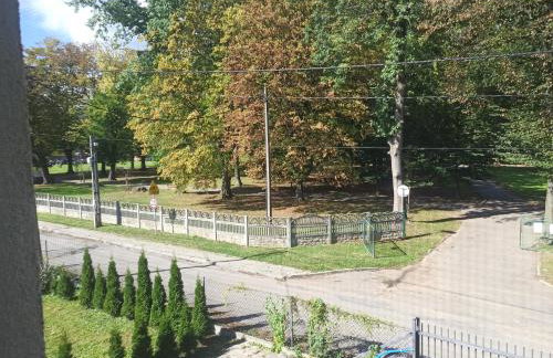 Park Rymanów - Foto 18