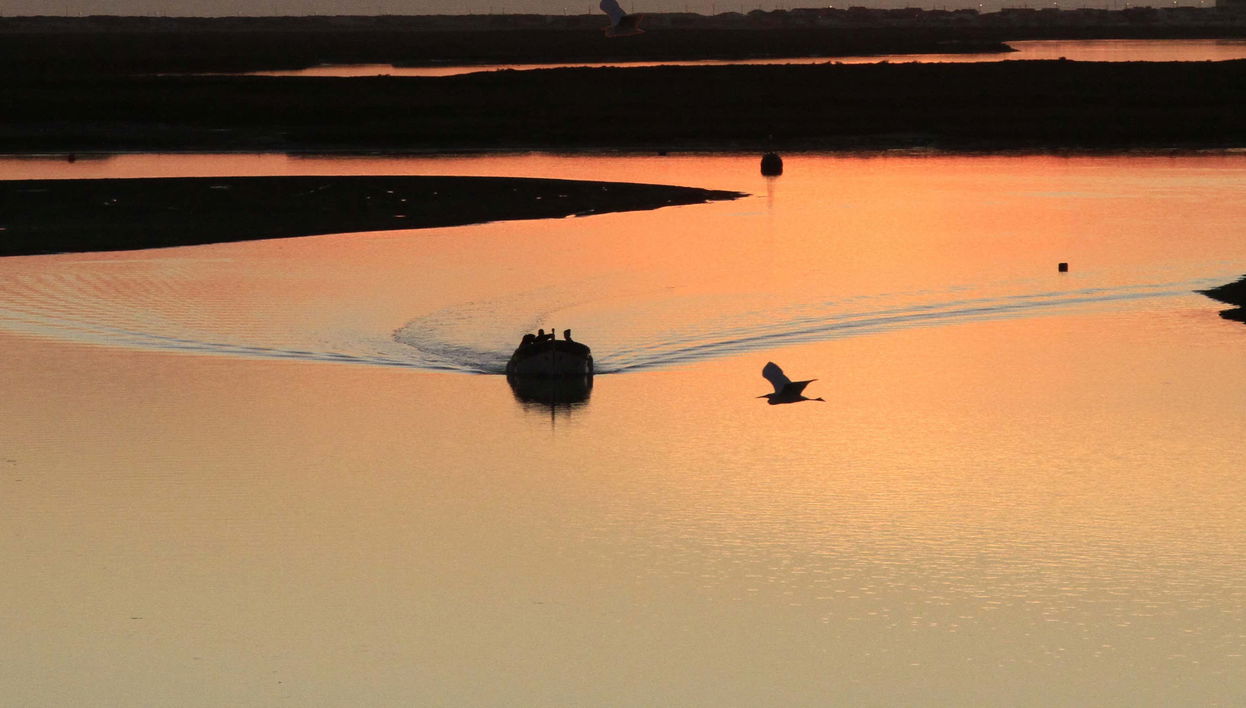 Ria Formosa Sunset Cruise