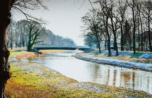 Ferienwohnungen am Markt - Der Sachsenhof - Foto 32