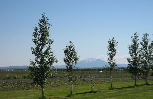 South Central Country Apartment - Foto 19