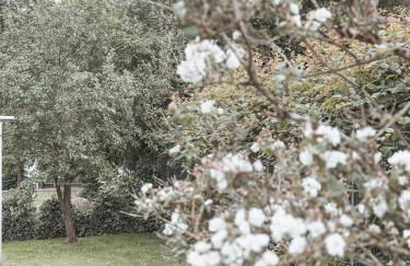 Bohemian Suite - Detmold - Foto 24