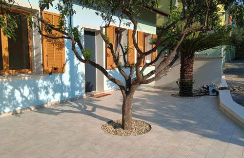 Casa dell'arancio - Foto 5