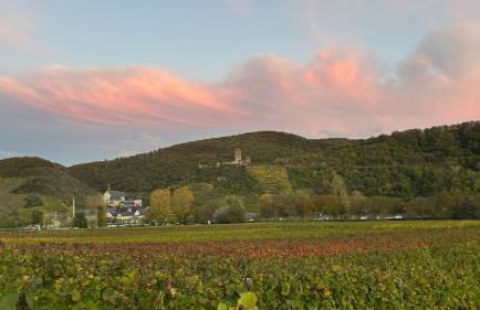 Haus im Weinberg - Foto 45