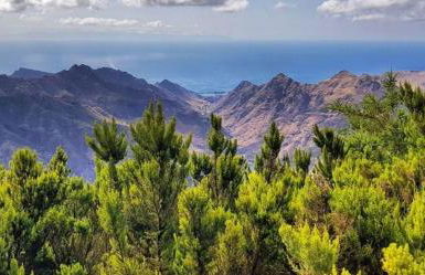 EDEN RENTALS Oasis Penthouse in Santa Cruz - Foto 40