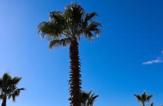 Résidence La Dolce Vita - Foto 62