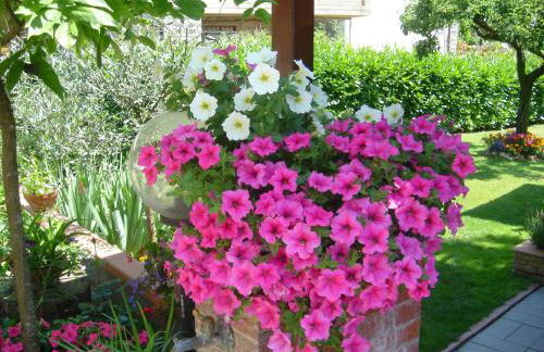 Villa "Corte de' Baldi" - Foto 52