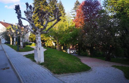 La Dolce Vita - Foto 45