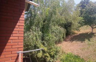 Le Betulle - Foto 34