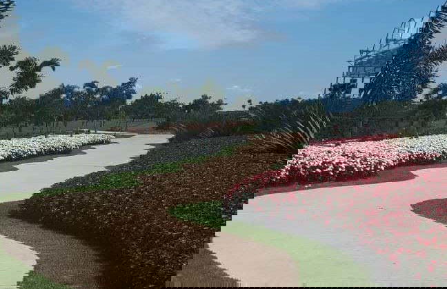 Escursione a Holambra - Foto 7