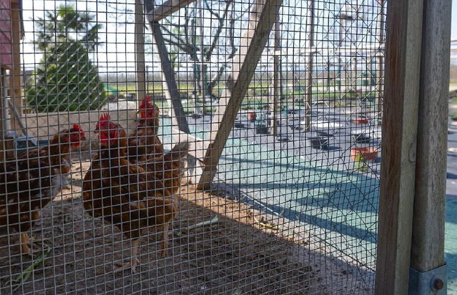 Mas Ribas Turismo Rural - Foto 69