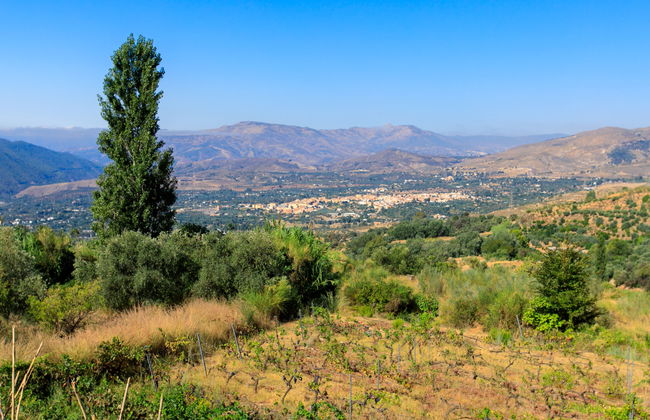 El Cerrillo - Cerro Negro - Photo 27