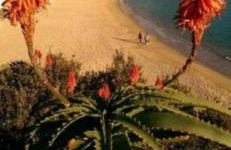 Appartement Almadrava Roses - Foto 1