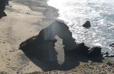 Le Petit Bois Vert - Foto 11